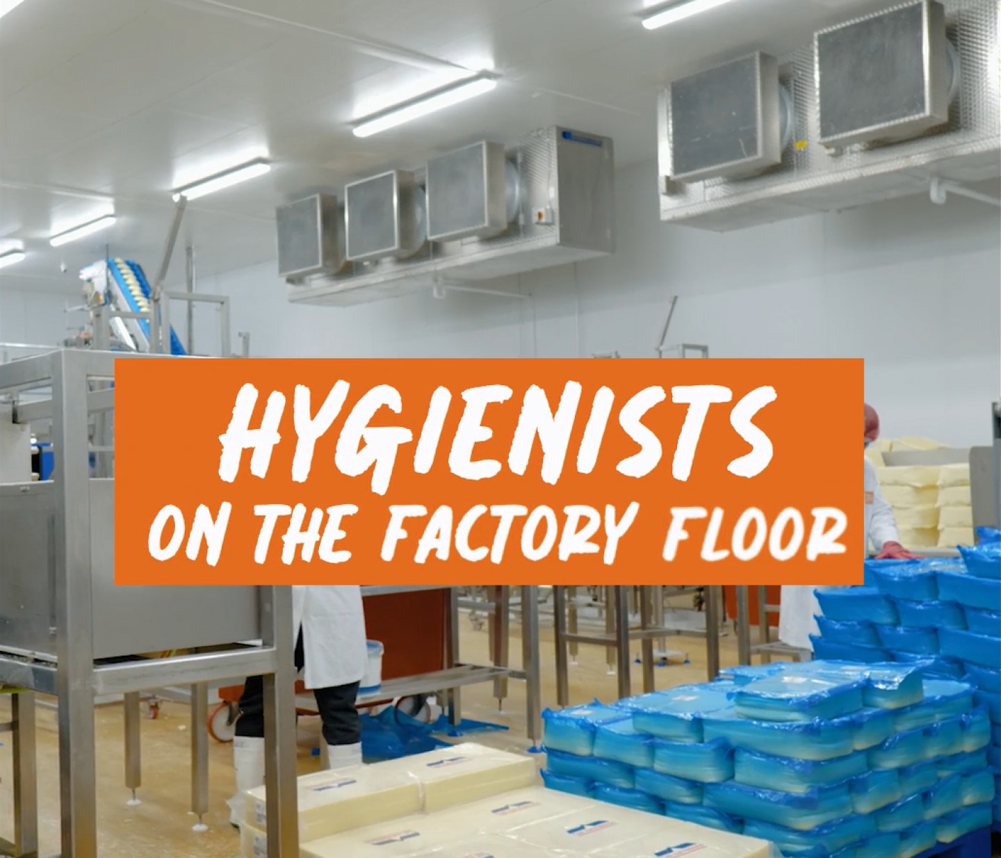 We have hygienists on our production floor